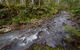 Nowendoc National Park - thumb 3