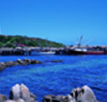King Island Dairies - Accommodation Guide