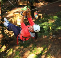 Trees Adventure Grose River Park - Accommodation Asia