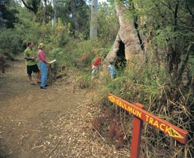 Bibbulmun Track - Accommodation China 3
