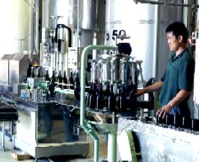 Sun Masamune Sake Brewery - Accommodation Guide 2