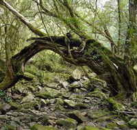 Mitchell River National Park - Accommodation Asia