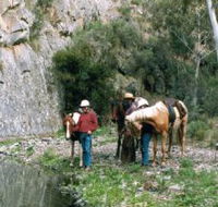 Yarramba Horse Riding - Accommodation Guide