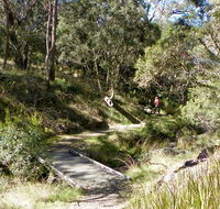 Wollomombi walking track - Accommodation Asia
