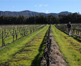 Around Hermitage Wine And Food Trail Hunter Valley - Accommodation Guide 1