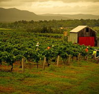 Around Hermitage Wine and Food Trail Hunter Valley - Accommodation Asia