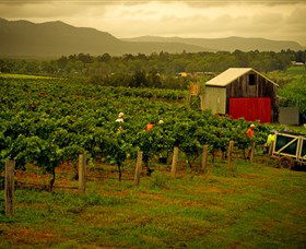 Around Hermitage Wine And Food Trail Hunter Valley - Accommodation Guide 0
