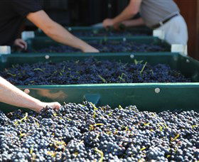Around Hermitage Wine And Food Trail Hunter Valley - Accommodation Guide 6