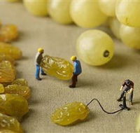 Hunter Valley Wine School - Accommodation Asia