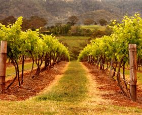 Hunter Valley Wine School - Accommodation Guide 1