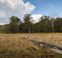 Mummel Gulf National Park - Accommodation Asia
