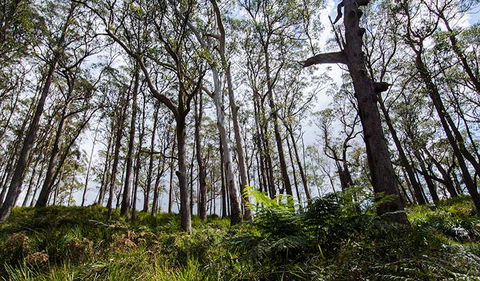 Mummel Gulf National Park - Accommodation China 1