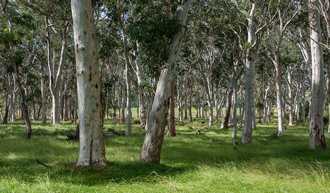 Coast To The Highlands Scenic Drive â€“ Kangaroo Valley - Accommodation Asia 1