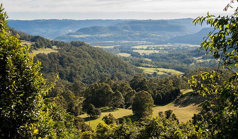 Coast To The Highlands Scenic Drive â€“ Kangaroo Valley - Accommodation Asia 3
