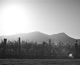Scarborough Wine Co. - Accommodation Asia 1