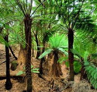 Pegarah Private Nature Reserve  Parenna Place - Accommodation Guide
