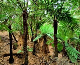 Pegarah Private Nature Reserve & Parenna Place - Accommodation China 0