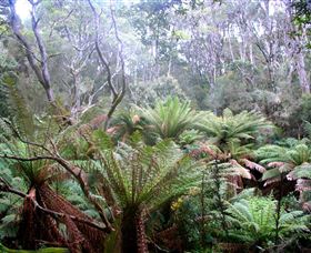 Pegarah Private Nature Reserve & Parenna Place - Accommodation China 1