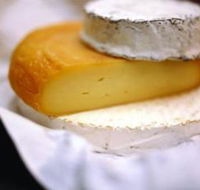 Hunter Valley Cheese Company - Accommodation Asia
