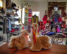 Australian Alpaca Barn - Hunter Valley Gardens - Accommodation Asia 2