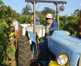 Pokolbin Brothers Wines Hunter Valley - Accommodation Asia 1