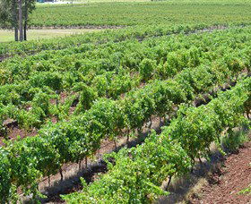 Pokolbin Brothers Wines Hunter Valley - Accommodation Asia 0