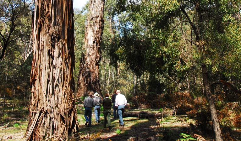 Northangera NSW Accommodation Asia