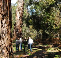 Tallaganda National Park - Accommodation Asia