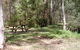 Tallaganda National Park - thumb 1