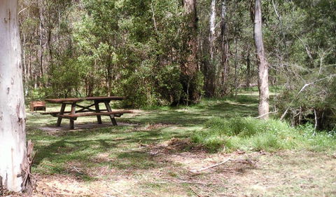 Tallaganda National Park - Accommodation Asia 1