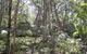 Tallaganda National Park - thumb 2