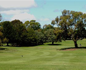 Cooma Golf Club - Accommodation Guide 1