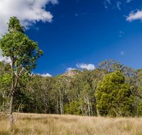Brush Turkey track - Accommodation Guide