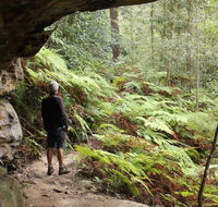 Dharug National Park - Accommodation Asia