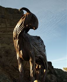 Nanny Goat Hill Lookout - Accommodation Guide 0