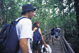 Neurum QLD Accommodation Asia