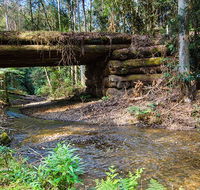 Myrtle Scrub scenic drive - Accommodation Asia