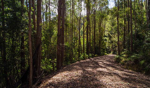 Myrtle Scrub Scenic Drive - Accommodation China 1