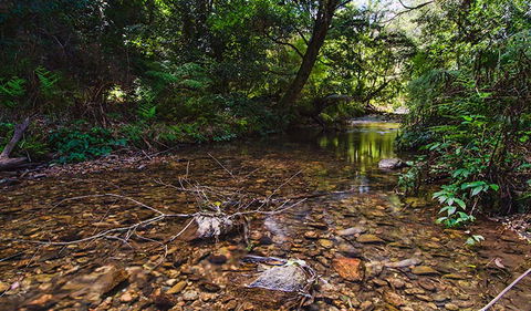 Myrtle Scrub Scenic Drive - Accommodation China 2