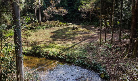 Myrtle Scrub Scenic Drive - Accommodation China 3