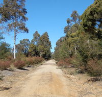 Werakata National Park - Accommodation Guide