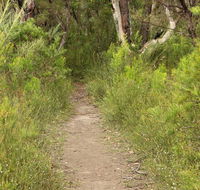 Three Views walking track - Accommodation Asia
