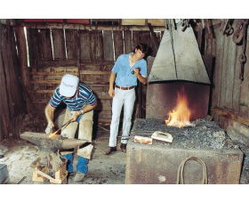 Tocal Homestead - Accommodation China 1