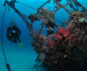 Severance Shipwreck Dive Site - Accommodation China 0