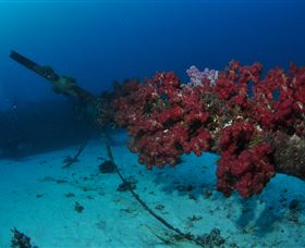 Severance Shipwreck Dive Site - Accommodation China 2