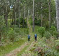 The Green Gully track - Accommodation Asia
