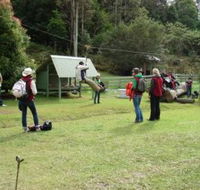 Forest of Tranquillity - Australian Rainforest Sanctuary