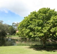 Hervey Bay Botanic Gardens - Accommodation Guide