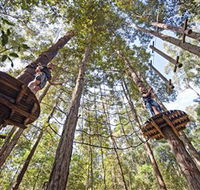TreeTop Adventure Park Central Coast - Accommodation Guide
