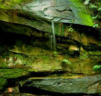 Strickland State Forest - Accommodation Asia